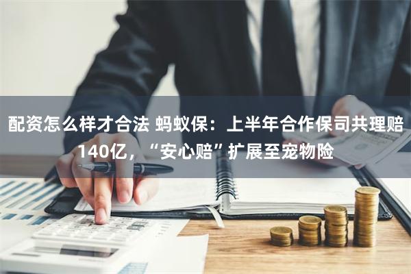 配资怎么样才合法 蚂蚁保：上半年合作保司共理赔140亿，“安心赔”扩展至宠物险