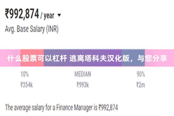 什么股票可以杠杆 逃离塔科夫汉化版，与您分享