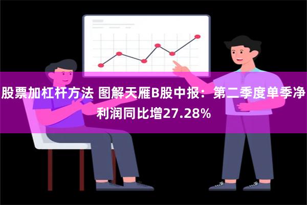 股票加杠杆方法 图解天雁B股中报：第二季度单季净利润同比增27.28%