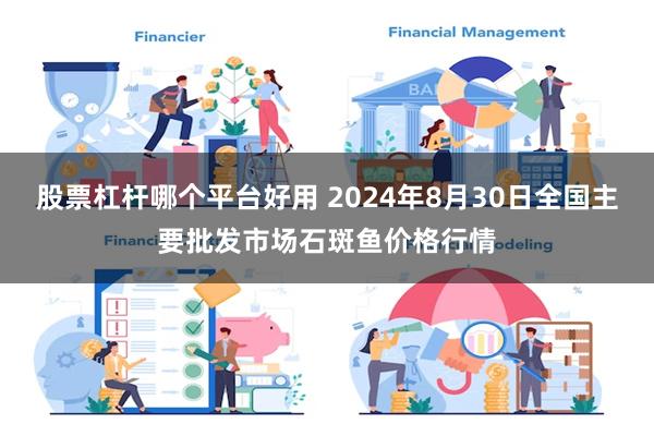 股票杠杆哪个平台好用 2024年8月30日全国主要批发市场石斑鱼价格行情