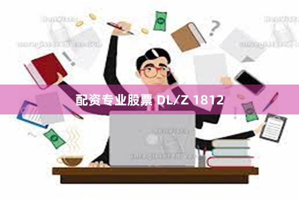 配资专业股票 DL∕Z 1812