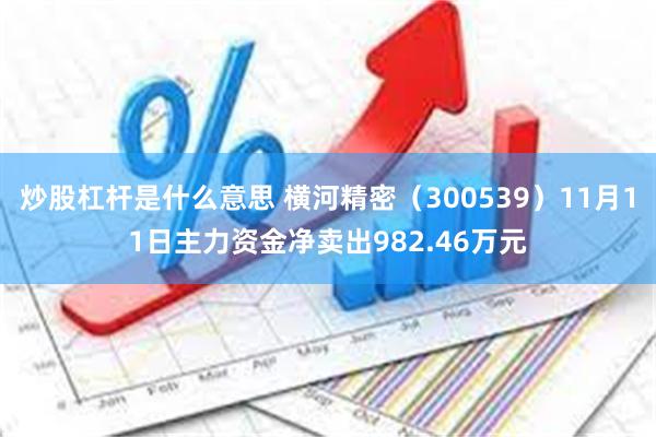 炒股杠杆是什么意思 横河精密（300539）11月11日主力资金净卖出982.46万元