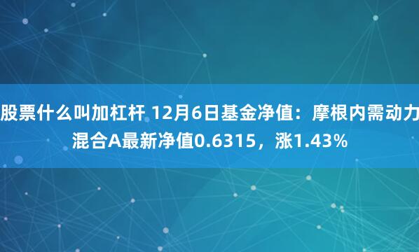 股票什么叫加杠杆 12月6日基金净值：摩根内需动力混合A最新净值0.6315，涨1.43%