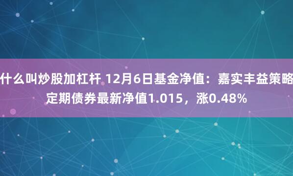 什么叫炒股加杠杆 12月6日基金净值：嘉实丰益策略定期债券最新净值1.015，涨0.48%