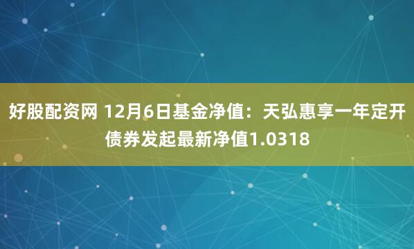 好股配资网 12月6日基金净值：天弘惠享一年定开债券发起最新净值1.0318