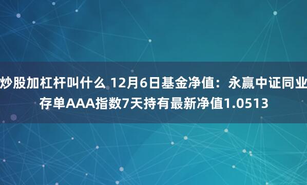 炒股加杠杆叫什么 12月6日基金净值：永赢中证同业存单AAA指数7天持有最新净值1.0513