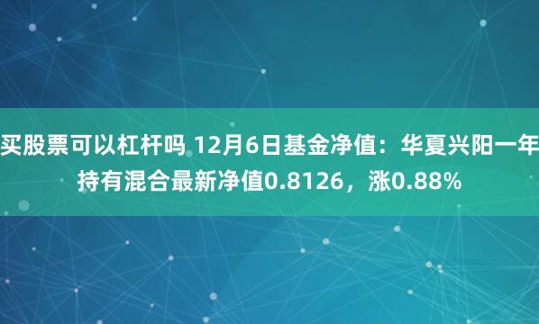 买股票可以杠杆吗 12月6日基金净值：华夏兴阳一年持有混合最新净值0.8126，涨0.88%