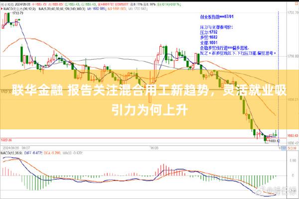 联华金融 报告关注混合用工新趋势，灵活就业吸引力为何上升