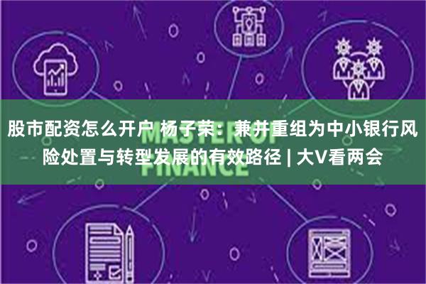 股市配资怎么开户 杨子荣：兼并重组为中小银行风险处置与转型发展的有效路径 | 大V看两会